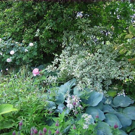 Vila Il Giardino Dell'Artemisia Pila  Exteriér fotografie