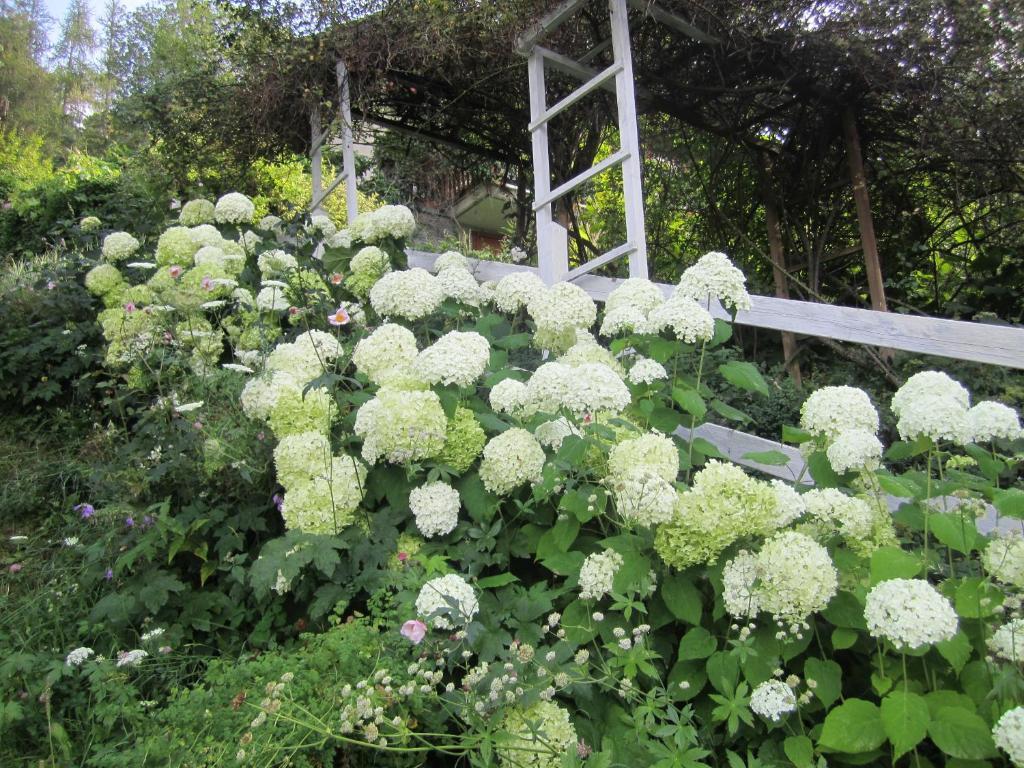 Vila Il Giardino Dell'Artemisia Pila  Exteriér fotografie