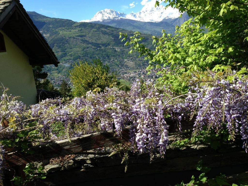 Vila Il Giardino Dell'Artemisia Pila  Exteriér fotografie